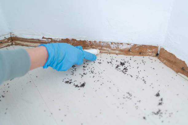 Best Commercial Pest Control  in Parsippany, NJ